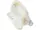 Горщик дитячий антиковзкий Teddy Bear white pearl