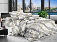 Комплект постельного белья BR-1029 TAG polycotton sem-705