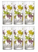 Набір склянок Luminarc Amsterdam Crazy Flowers G4604 270 мл 6 шт