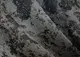 Комплект штор (2шт. 1,5х2,9м.) "Мрамор Al-7", Турция. Цвет серый с черным и какао. Код 1461ш 33-0328