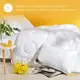 Одеяло зимнее Air Dream Exclusive двойное 155*215