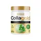 Препарат для суставов и связок Pure Gold Protein CollaGold, 300 грамм Мохито