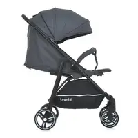 Коляска прогулочная Bambi M-4249-2-Gray-Matt серая