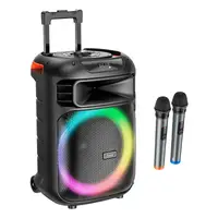 Акустика-караоке HOCO Winner wireless dual-mic outdoor BT speaker HA5 |BT5.0/USB/AUX/TF, 60W, TWS, 12h|