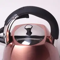 Чайник со свистком Kamille KM-0697 3 л бронзовый