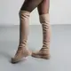 Ботфорты женские Fashion Mare 3845 40 размер 25,5 см Бежевый