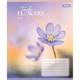 Тетрадь в линию А5 1Вересня Tender Flowers 768085 96 листов