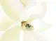 Шторка в ванную Dariana Принт Php-Purewhite D-7524 180х180 см