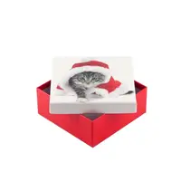 Коробка подарочная ООТВ Santa Cat 12 х 12 х 8 см