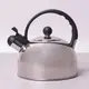 Чайник со свистком Kamille KM-0679 2.5 л серебристый