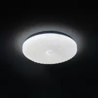 Светодиодный светильник потолочный RADIUS-36хне