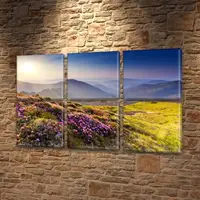 Картина модульная на Холсте синт., 52x80 см, (25x25-6)