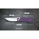 Чем складная Firebird FH926-PL LILAC
