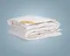 Одеяло ARYA Penelope гусиный пух 200x200 см. 1451077