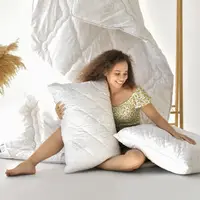 Подушка для сну Air Dream Classic 70х70 см IDEIA два чохли з блискавкою холлофайбер антиалергенна