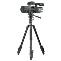 Штатив Vanguard Vesta Go 264AV12 (Vesta Go 264AV12)