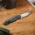 Нож складной Weknife Kitefin 2001C