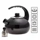 Чайник со свистком Kamille KM-1039A 2.5 л черный