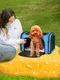 Сумка переноска для кошек и собак 42x28x28 см CosmoPet CP-47 Blue