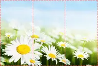 Фотошпалери текстуровані, вінілові Квіти, 250х380 см, fo01inV_fl10675