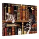 Картина на холсте Кот в книгах 45x65 см (H4565_ZVR001)