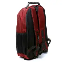Рюкзак міський BST 430022 32х15х48т см червоний