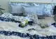 Комплект постельного белья с компаньоном R-T9151 TAG R(emax)-047