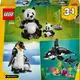 Конструктор LEGO Creator Дикие животные: пандовые 626 деталей (31165)
