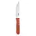 Набор ножей для стейков Bergner Bbq lovers BG-40201-MM 4 предмета
