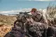 Оптический прицел Vortex Venom 5-25x56 FFP EBR-7C MRAD (VEN-52502)