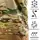 Футболка Totem Multicam (8076), XXXL
