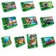 Пазлы Danko Toys C1000-12-01-02-03-04-10 1000 деталей