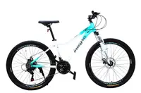 Велосипед Спортивный 26 дюймов Corso Integra NG-220 оборудование Shimano алюминиевая рама 15 дюймов 21 скорость. White and Blue (194579)