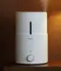 Увлажнитель воздуха Xiaomi DEERMA Humidifier White DEM-SJS600
