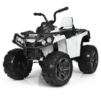 Детский электромобиль Квадроцикл Bambi M 3999EBLR-1 до 35 кг