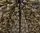 Парасолька Flagman Camo Umbrella With Tent 2.5м