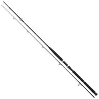 Спінінг Daiwa BG Boat 2.40m 150-400g (11906-246 / 720446)