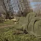 Маскирующий шарф-сетка CM SFVS Олива (7023)