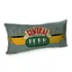 Подушка для дивана бархатная Central Perk 50х24 см (52BP_DR001)