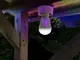 Антимоскитная светодиодная лампочка Noveen IKN803 LED