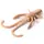 Baffi Fly 1.5" (10pcs.), #104 - Coffee Milk