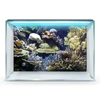 Подводный мир в аквариум наклейка, в разных размерах 40х65 см. (650х400)