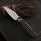 Нож складной Ganzo G771-BK черный