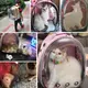Рюкзак с иллюминатором для транспортировки кошек RESTEQ, дышащий прозрачный рюкзак для домашних животных