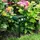 Отпугиватель животных Garden Protector на солнечной батарее