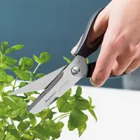 Ножиці кухонні Berghoff 1106255 22,5 см