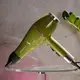 Фен для волос с концентратором 2000 Вт  Sokany SK-14006