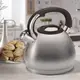Чайник со свистком Maestro MR-1319 4.3 л