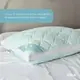 Подушка PRESENT с дышащим бортом ТМ IDEIA 50х70 см м"ята/білий