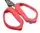 ASMS Ножиці Azura Safina Multifunctional Scissors